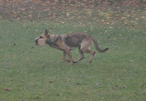 Zvod o pohr msta Sadsk 20.10.2012